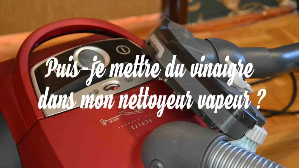 puis je mettre du vinaigre dans mon nettoyeur vapeur